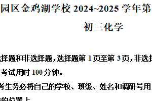江苏省苏州市园区金鸡湖学校2024~2025学年九年级下学期3月测评化学试题（含解析）