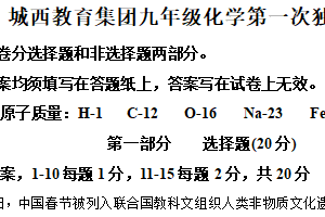 江苏省泰州市姜堰区城西实验学校2024-2025学年九年级下学期3月月考化学试题（含解析）