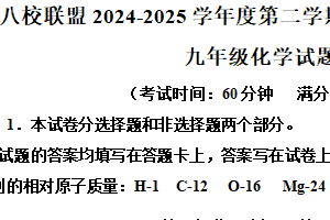 江苏省泰州市靖江市八校联盟2024-2025学年九年级下学期3月月考化学试题（含解析）