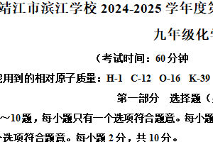 江苏省泰州市靖江市滨江学校2024-2025学年九年级下学期3月月考化学试题（含解析）