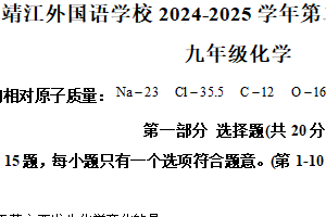 江苏省泰州市靖江市外国语学校2024-2025学年九年级下学期第一次月考化学试题（含解析）