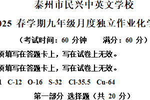 江苏省泰州市民兴中英文学校2024-2025学年九年级下学期第一次月度检测化学试题（含解析）