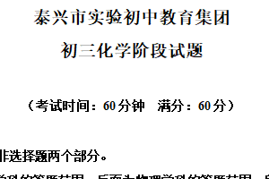 江苏省泰州市泰兴市实验初级中学教育集团2024-2025学年九年级下学期3月联考化学试题（含解析）