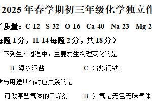 江苏省泰州市泰州中学附属初级中学2024-2025学年九年级下学期3月月考化学试题（含解析）