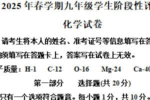 江苏省泰州市兴化市2024-2025学年九年级下学期3月月考化学试题（含解析）