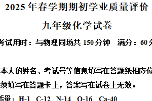 江苏省泰州市兴化市2024-2025学年九年级下学期开学联考化学试题（含解析）