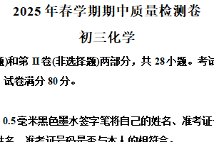 江苏省无锡市滨湖区2024–2025学年九年级下学期期中化学试题（含解析）