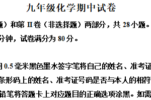 江苏省无锡市惠山十校2024-2025学年九年级下学期期中联考化学试卷（含解析）