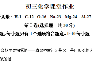 江苏省无锡市江阴市南菁实验中学2024-2025学年九年级下学期第一次月考化学试题（含解析）