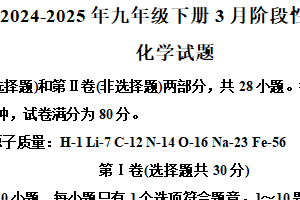 江苏省无锡市梁溪区积余实验学校2024–2025学年九年级下学期3月月考化学试题（含解析）