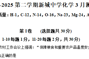 江苏省无锡市新城中学2024-2025学年九年级下学期3月月考化学试题（含解析）