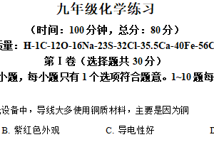 江苏省无锡市新吴区第一实验学校2024-2025学年九年级下学期3月月考化学试题（含解析）