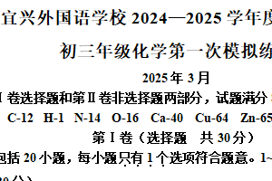 江苏省无锡市宜兴外国语学校2024-2025学年九年级下学期第一次模拟练习化学试题（含解析）
