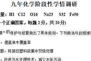 江苏省徐州市鼓楼区东苑中学2024-2025学年九年级下学期3月月考化学试题（含解析）