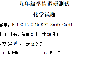 江苏省徐州市沛县2024-2025学年九年级下学期3月月考化学试题（含解析）