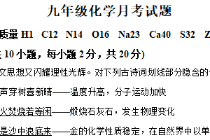 江苏省徐州市沛县五中集团联盟2024-2025学年九年级下学期3月联考化学试题（含解析）