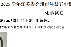 江苏省徐州市沛县五中集团联盟2024-2025学年九年级下学期开学化学试题（含解析）