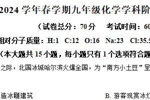 江苏省盐城市2024–2025学年九年级下学期阶段性自我检测化学试卷（含解析）