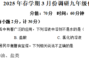江苏省盐城市大丰区2024-2025学年九年级下学期3月月考化学试题（含解析）