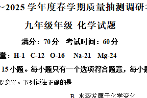 江苏省盐城市东台市第五教育联盟2024-2025学年九年级下学期3月月考化学试题（含解析）