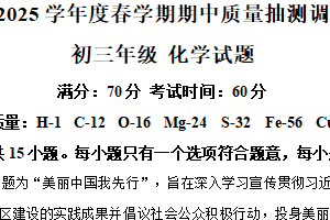 江苏省盐城市东台市第五教育联盟2024-2025学年九年级下学期4月期中联考化学试题（含解析）