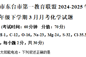 江苏省盐城市东台市第一教育联盟2024-2025学年九年级下学期3月月考化学试题（含解析）