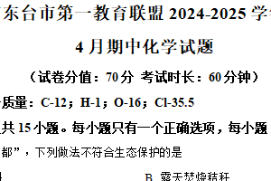 江苏省盐城市东台市第一教育联盟2024-2025学年九年级下学期4月期中化学试题（含解析）