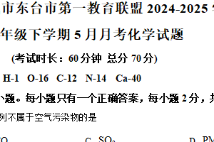江苏省盐城市东台市第一教育联盟2024-2025学年九年级下学期5月月考化学试题（含解析）