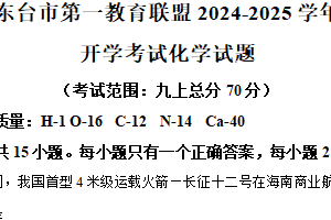 江苏省盐城市东台市第一教育联盟2024-2025学年九年级下学期开学化学试题（含解析）