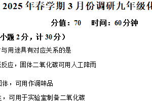 江苏省盐城市东台市三校2024-2025学年九年级下学期3月月考化学试题（含解析）