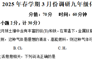 江苏省盐城市阜宁县2024-2025学年九年级下学期3月调研化学试题（含解析）