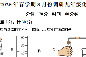 江苏省盐城市经济技术开发区2024-2025学年九年级下学期3月月考化学试题（含解析）