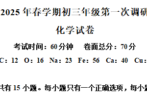 江苏省盐城市景山中学2024-2025学年九年级下学期3月月考化学试题（含解析）