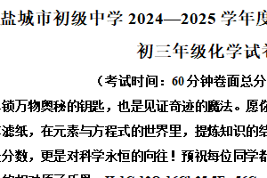 江苏省盐城市康居路初级中学2024-2025学年九年级下学期期中考试化学试卷化学试题（含解析）