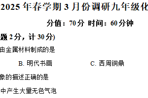 江苏省盐城市射阳县2024-2025学年九年级下学期3月月考化学试题（含解析）