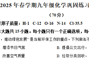 江苏省盐城市射阳县实验初级中学2024-2025学年九年级下学期3月月考化学试题(普B卷通班）（含解析）