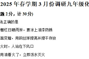 江苏省盐城市亭湖区2024-2025学年九年级下学期3月月考化学试题（含解析）