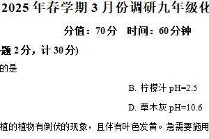 江苏省盐城市响水县2024-2025学年九年级下学期3月月考化学试题（含解析）
