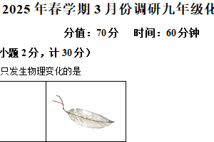 江苏省盐城市盐都区2024-2025学年九年级下学期3月月考化学试题（含解析）
