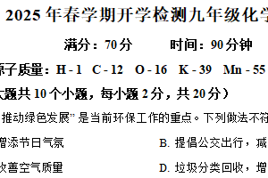 江苏省盐城市盐都区2024-2025学年九年级下学期开学化学试题（含解析）