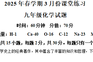 江苏省盐城市盐都区第一共同体2024-2025学年九年级下学期3月月考化学试题（含解析）