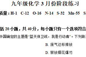 江苏省扬州市高邮市城北中学2024-2025学年九年级下学期第一次课堂练习化学试题（含解析）
