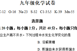 江苏省扬州市邗江区梅苑双语学校2024-2025学年九年级下学期3月月考化学试题（含解析）