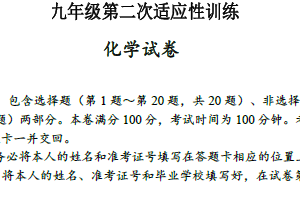 江苏省扬州市江都区八校联谊2024-2025学年九年级下学期二模化学试卷（含答案）