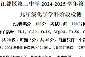江苏省扬州市江都区第三中学2024-2025学年九年级下学期3月月考化学试题（含解析）