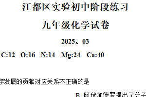 江苏省扬州市江都区实验初级中学2024-2025学年九年级下学期第一次月考化学试题（含解析）