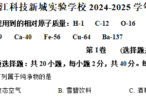 江苏省镇江市科技新城实验学校2024-2025学年九年级下学期3月月考化学试题（含解析）