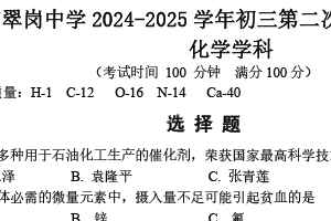 2025年江苏省扬州市翠岗中学中考第二次模拟考试化学试卷（无答案）
