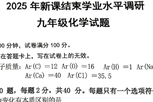 江苏省常州市钟楼区北郊初级中学2024-2025学年九年级下学期3月月考化学试题（无答案）