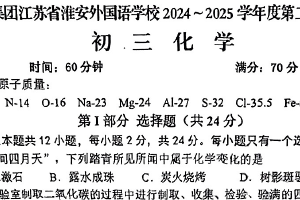 江苏省淮安市外国语学校2024-2025学年九年级下学期期中考试化学试卷（无答案）